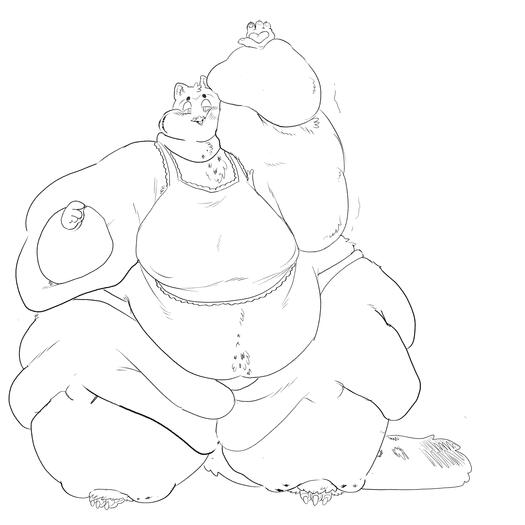 Sketch