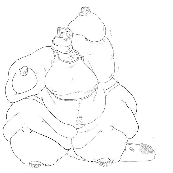 Sketch
